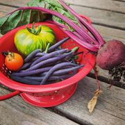 �� ������ �������?