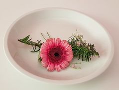 �� ������� �������� � ������?