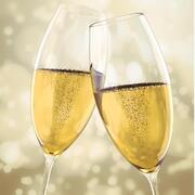 ���� ������� ��� ������������ Charlie 220�� 306430