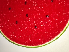 ������ ����� ����� 27�� 65026698