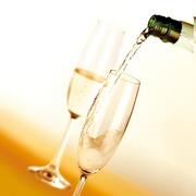 ����� ��� ������������ Charlie 220�� 306414