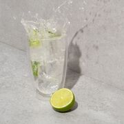 ����� �����-�������� Pavina ���������� 460�� 4560-10