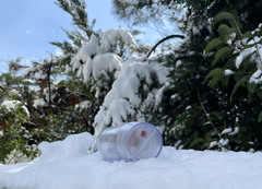 ����� � ���������� Max GE0009