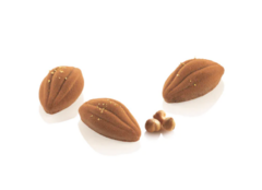 ����� ��� ������� 50�28�19�� Silikomart CACAO XS 12 ��