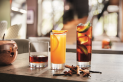 ����� �������� ��� �������� Islande 290�� N1316