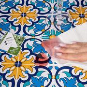 ���������� � ���������� ����������� ³���� 160�160�� PauloSaALTeMantel-160x160