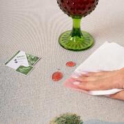 ���������� � ���������� ����������� ���������� ������ 140�240�� UaFieldTeMantel-140x240DA