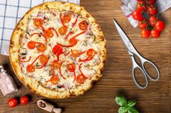 ������� ������������� 20�� 00404