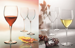 ����� ��� ���� Magnifico 460�� A08961BYL02AA06