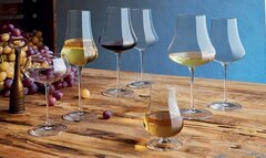 ����� ��� ���������� ���� Tentazioni 230�� A12499BYI03AA04