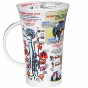 ������ Glencoe The Nervous System 500��