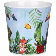 ������ Cairngorm Amazonia Toucan 480��