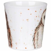 ������ Cairngorm What A Hoot! Brown 480��