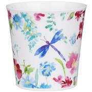 ������ Cairngorm Zerzura Dragonfly 480��