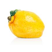 ������� � ��������� ������ ����� 6/8�� 23136