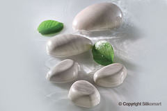 ����� ��������� Tortaflex 87X63 ��, h36 ��