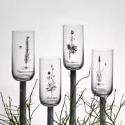 ���� ������� ��� ����� Herbal 440�� b25287-S1742