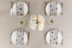 ���������� ��������� ����� ����� 136�220�� 4823093451100