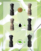 �������� ��� ���� Paris 18�� 38113