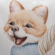 ��������� ������������ Cindy ������� 45�45�� 33493CINDYCojin45x45-A