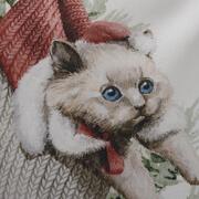 ��������� ����������� Cindy ������ 45�45�� 33493CINDYCojin45x45-D