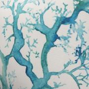 ��������� ����������� Santorini ��������� ����� 45�45�� 34939SANTORINCojin45x45-C