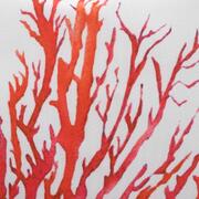 ��������� ������������ Santorini ������� ������ 45�45�� 34939SANTORINCojin45x45-D