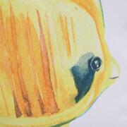 ��������� ������������ Santorini ������ ����� 45�45�� 34939SANTORINCojin45x45-F