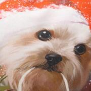 ��������� ������������ XMas ����� 45�45�� 63403XMASCojin45x45-A