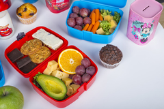 ���� ���� Dino Club 6,7�13,3�16,9�� 161279-066