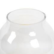 ���� � ������� 55�� VET-1650