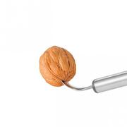 �������� GrandCHEF 17�� 428241