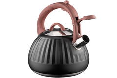 ������ Gemini Black 2,5� AR1958KS