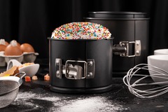 ����� ��������� Gemini 16�13�� AR2507G