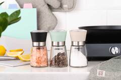 ���� ��� ����� �� ��� Gemini green 13,7�� AR2101GR