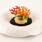 ����� ��� ������ 5,6�6,3�0,2�� CORALLO