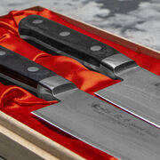 ���� ���� Daichi HG8555W