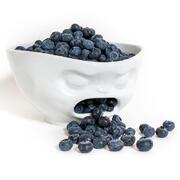 ϳ��� Baffled 19�� TASS24201/TA