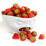 ϳ��� Baffled 19�� TASS24201/TA