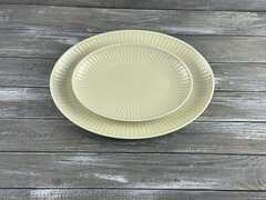 ����������� Dalia -GL04 24��