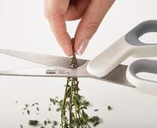 ���� ���� Elevate 10577