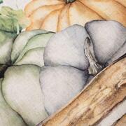����� �������� ��������� Pumpkins 50�70�� 29441-GARNETtowel-2setB