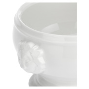 ������ � ������� Chimera Lion 3� P002501022