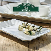 ����� ���������� Ducale 27�19�� P003600427