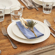 ������� ��������� Bosco 20�� P004300003