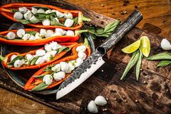 ��� ������� Forged Brute 14�� BruteSant14cm