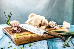 ��� ������� Luxury 17�� SantOlijfLag