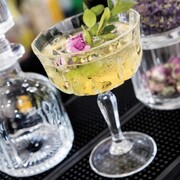 ����� ������� ��� ����������� Opera 230 �� 25849020006