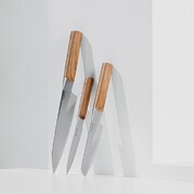 ����� ����� Ion 1315075