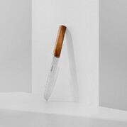 ����� ����� Ion 1315075